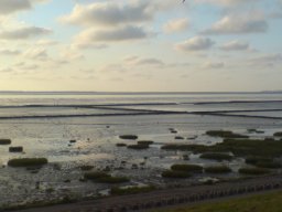 Norddeich_3